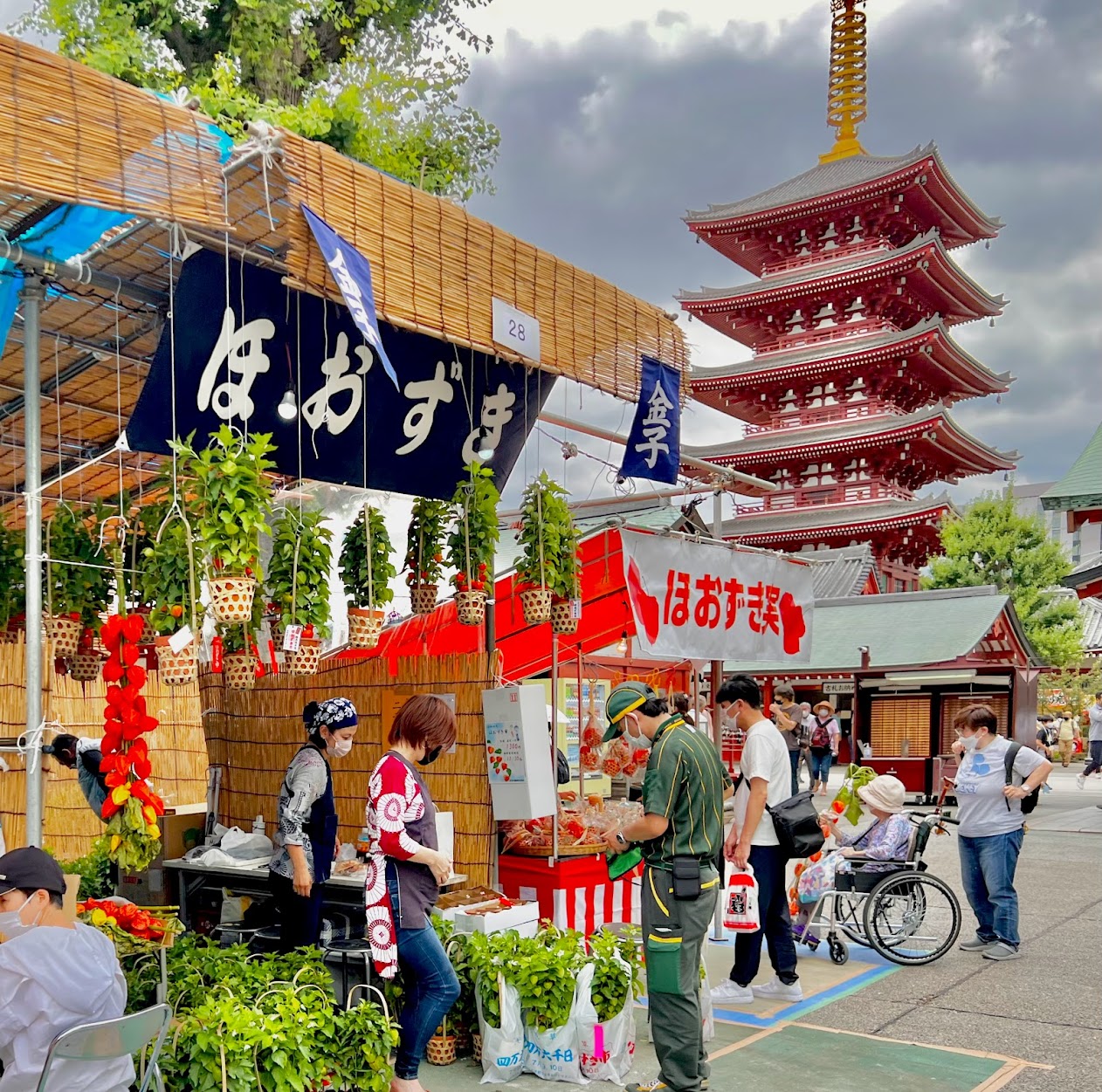 浅草寺四万六千日「ほおずき市」 2024年7月9日(火),10日(水) - 浅草観光連盟